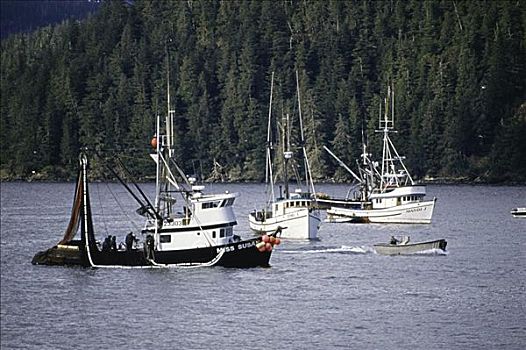 塞纳河,船,青鱼,渔业,努特卡,阿拉斯加,美国