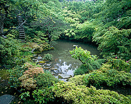 东方风情,花园,水塘