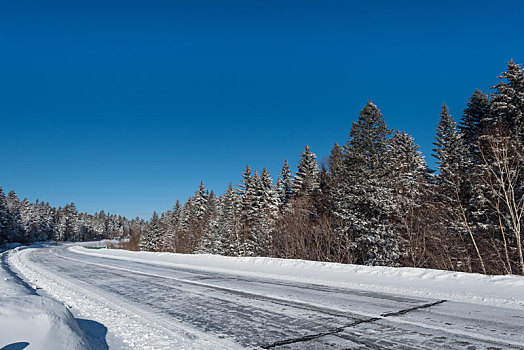 冬季雪后的树林和公路