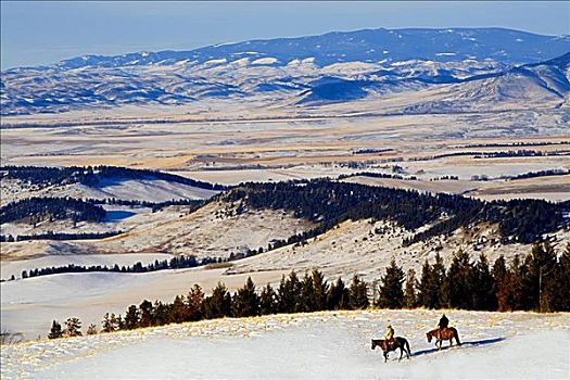 两个男人,骑马,积雪,山