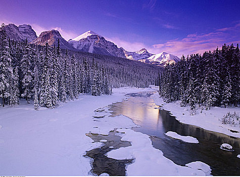 弓河,山脉,班芙国家公园,艾伯塔省,加拿大
