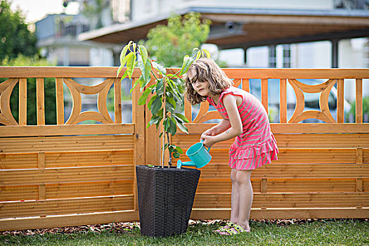 小女孩,浇水,植物