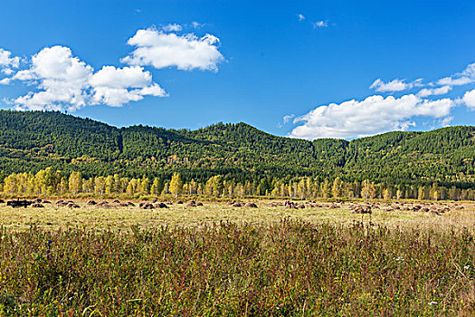 内蒙古阿尔山