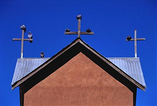 屋顶,教堂,鸽子,坐,新墨西哥,美国