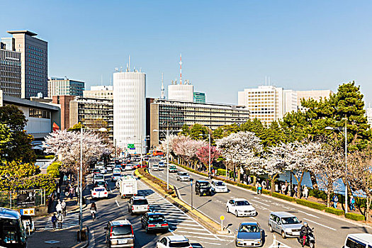 花,樱桃树,街道,公园,皇宫,东京,关东地区,本州