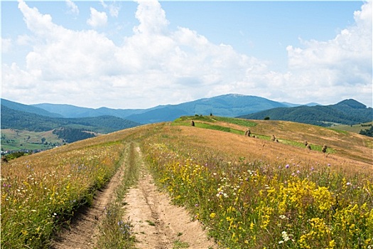 土路,风景,乌克兰,喀尔巴阡山脉