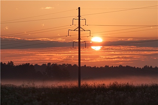电线,雾,日落
