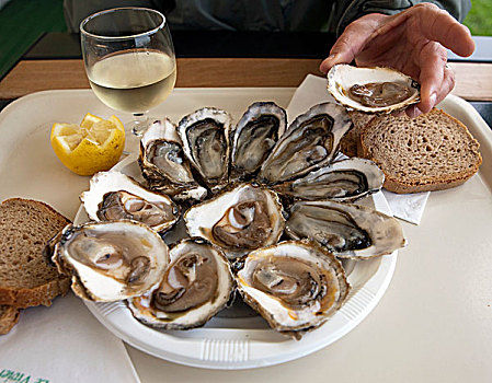牡蛎,餐馆,布列塔尼半岛