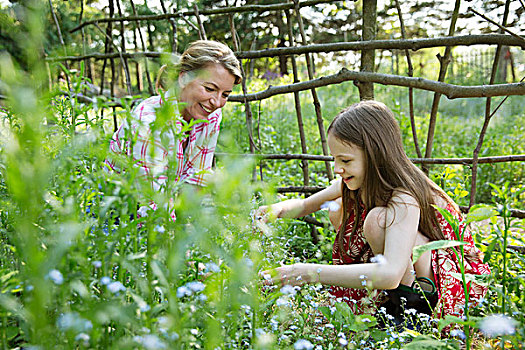 母女,一起,农作物,围挡,自制,栅栏,摘花,绿色,叶子