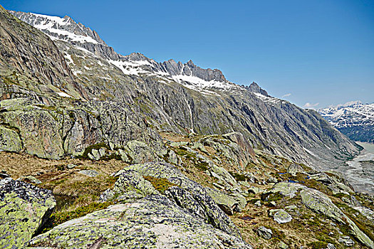 阿尔卑斯山,冰河,湖,伯恩高地,瑞士