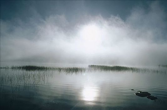 湖,重,雾,维多利亚,澳大利亚