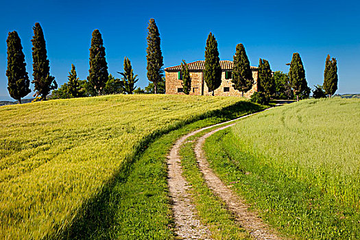 乡野,别墅,靠近,皮恩扎,托斯卡纳,意大利