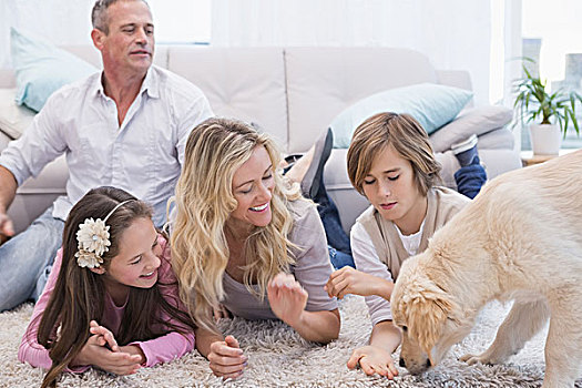 微笑,家庭,宠物,黄色拉布拉多犬,地毯