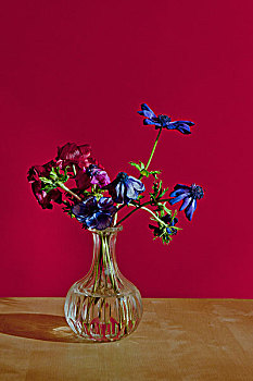 花瓶,萎蔫,花,桌上