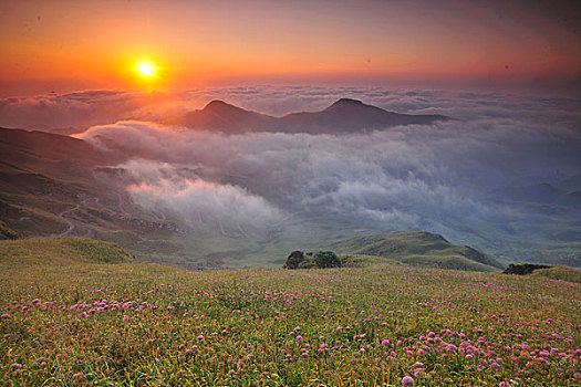 赫章韭菜坪石林风景名胜区