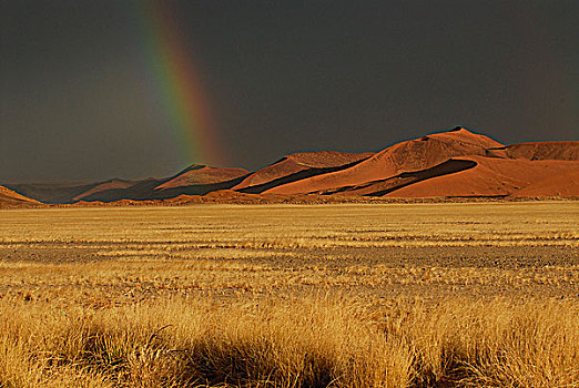 纳米比亚,国家公园,沙漠,风暴,沙丘,山谷