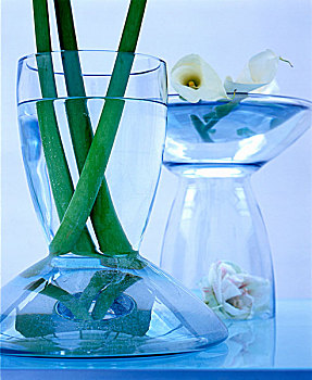 玻璃花瓶,花,茎