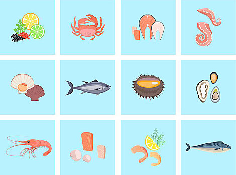 海鲜,设计,比目鱼,蟹肉,龙虾,食物,牡蛎,新鲜,虾,菜单,章鱼,动物,贝类,柠檬,矢量,插画