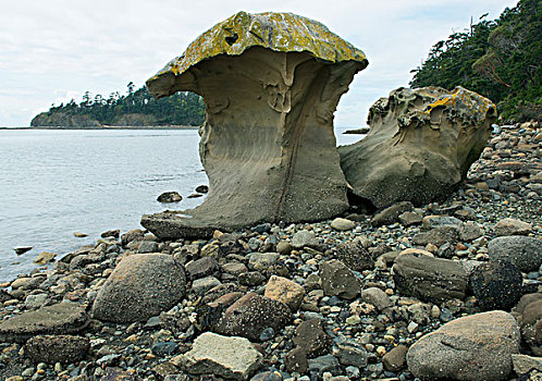 侵蚀,漂石,蘑菇岩,白垩纪,海洋,沉淀物,岛屿,州立公园,华盛顿