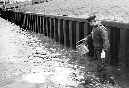 男人,水,洒水壶,河,20世纪50年代,精准,地点,未知,德国,欧洲