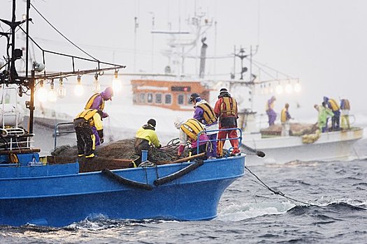 捕鱼者,工作,根室海峡,北海道,日本