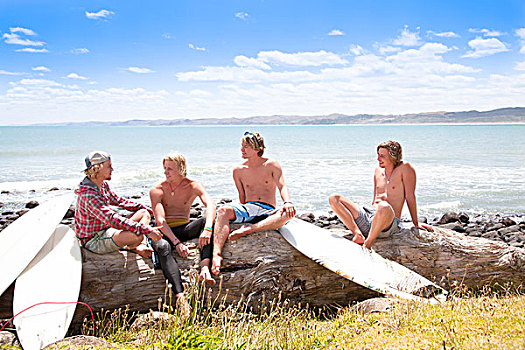 四个,男青年,冲浪,朋友,交谈,海滩,石头