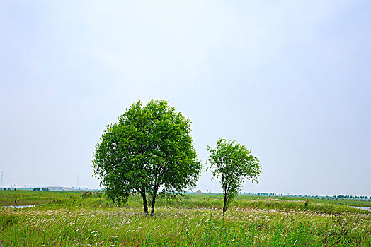 滩涂