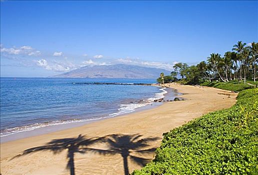 夏威夷,毛伊岛,漂亮,海滩,两个,棕榈树,影子
