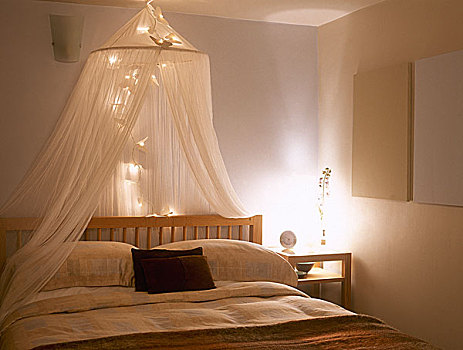 卧室,篷子,亮光,高处,双人床