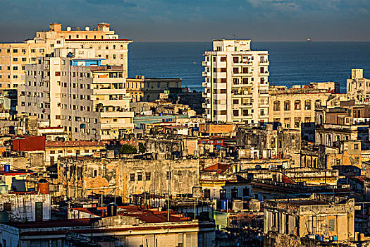 俯视,城市,海洋,哈瓦那,古巴