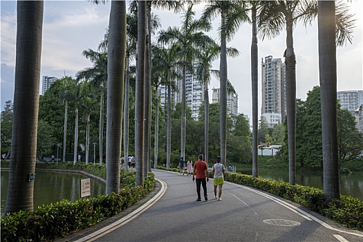 夏天广州天河公园绿树成荫市民出游