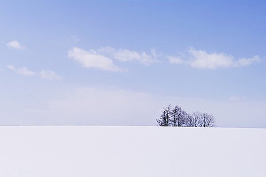 木头,白色背景,山,蓝天