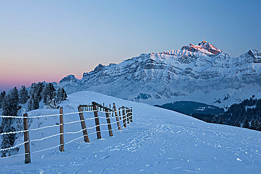 晚间,冬天,山,高山牧场,阿尔卑斯山,山丘,瑞士,欧洲