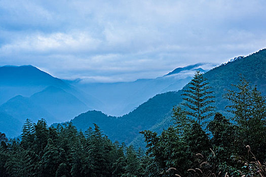 浙江指南村风光