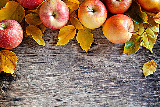 秋天,苹果,背景