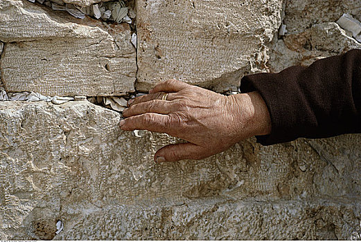 男人,手,哭墙,老,耶路撒冷,以色列