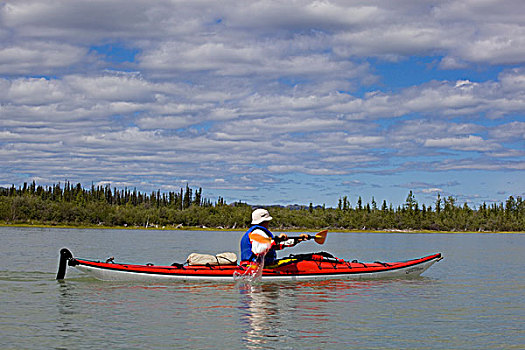 男人,划船,海洋,漂流,育空,河,靠近,湖,育空地区,加拿大
