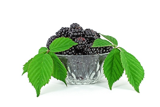 新鲜,黑莓,玻璃碗