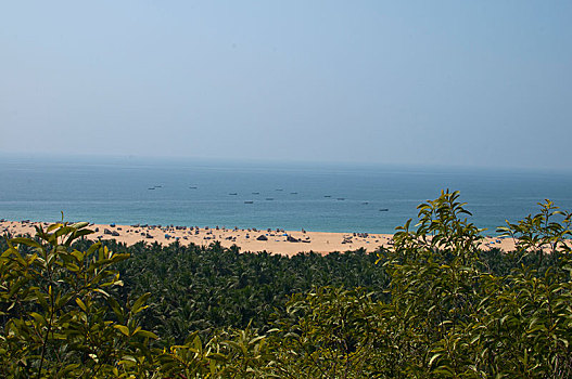 海岸线,海滩,植被,喀拉拉,印度,亚洲
