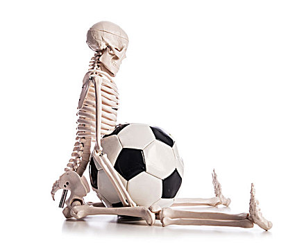骨骼,足球,隔绝,白色