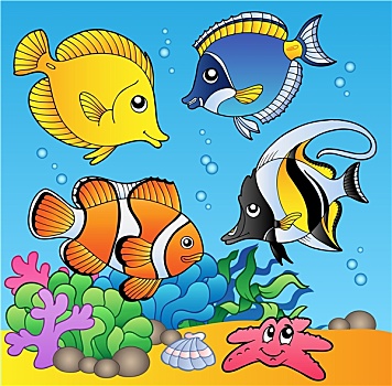 水下,动物,鱼