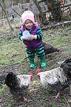宝贝女孩,帮助,饲料,鸡,在花园里