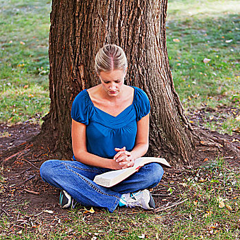 女人,读,圣经,祈祷,公园,旁侧,艾伯塔省,加拿大