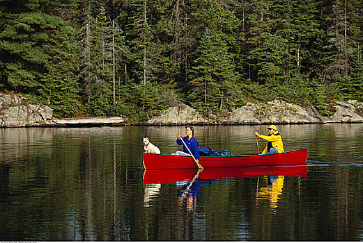 女人,男人,独木舟,狗,阿尔冈金公园,安大略省,加拿大