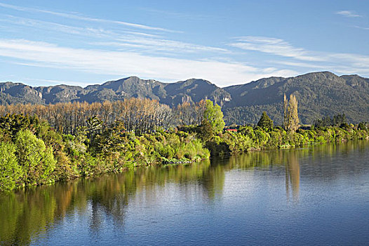 河,山谷,金色,湾,纳尔逊,区域,南岛,新西兰