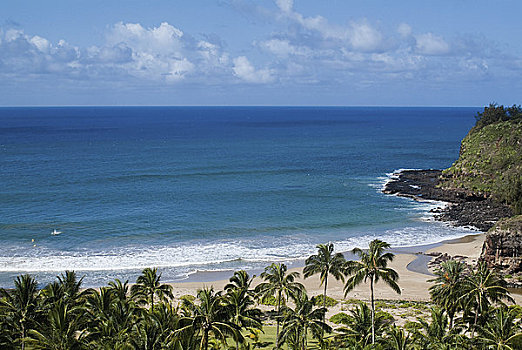 棕榈树,海滩,湾,考艾岛,夏威夷,美国
