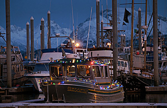 船,圣诞灯光,停靠,本垒打,肯奈半岛,阿拉斯加,冬天