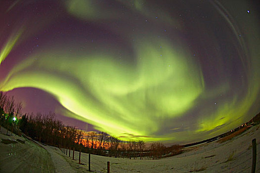 北极光,艾伯塔省,加拿大