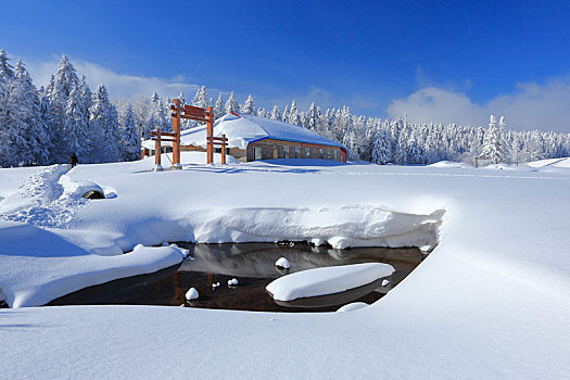 雪山深处有人家