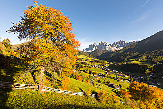 风景,热,秋天,彩色,博尔查诺,省,南蒂罗尔,特兰迪诺,意大利